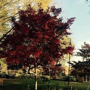 Meet your Posher, Paula